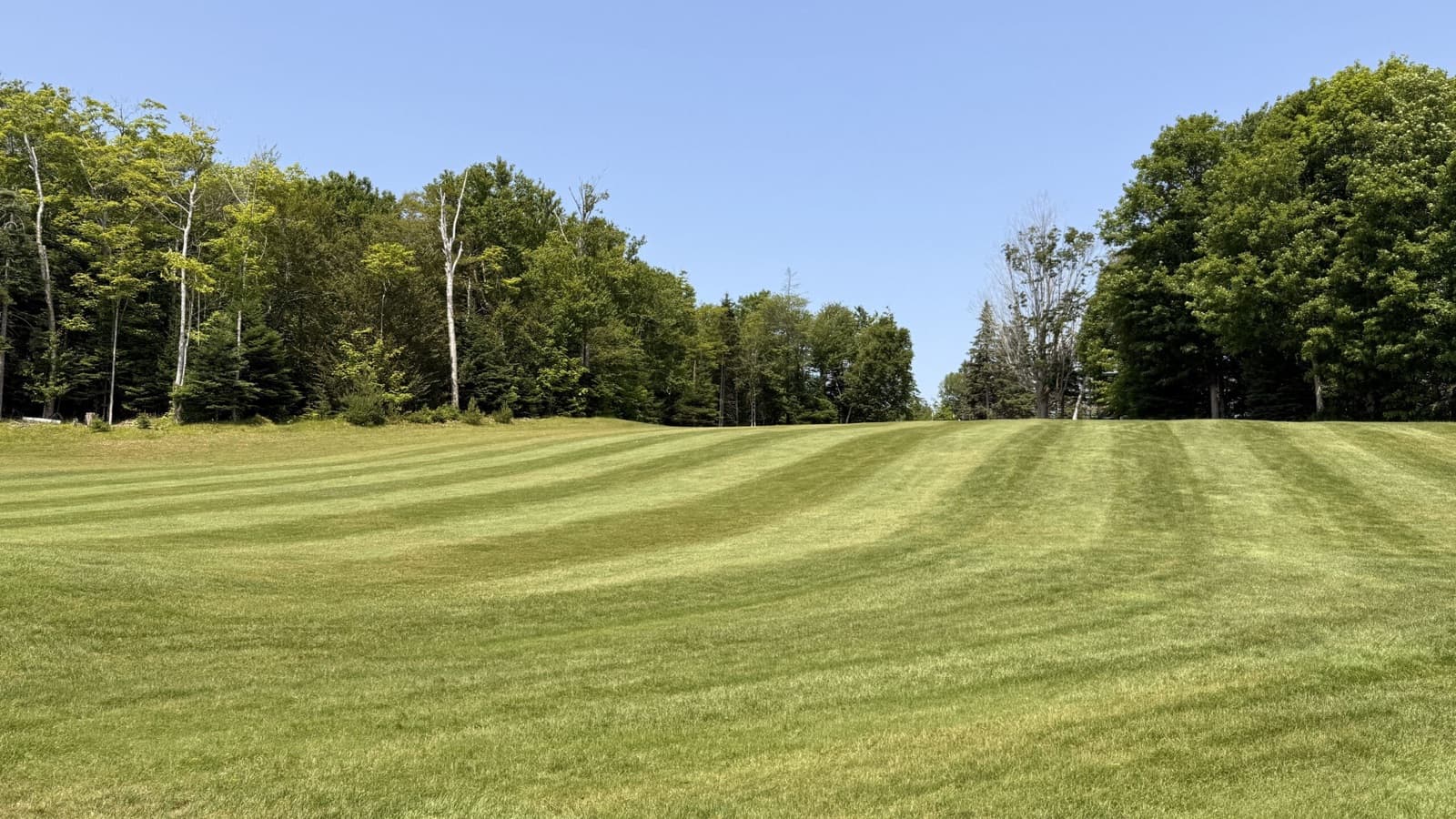 Golf courses in Bonshaw