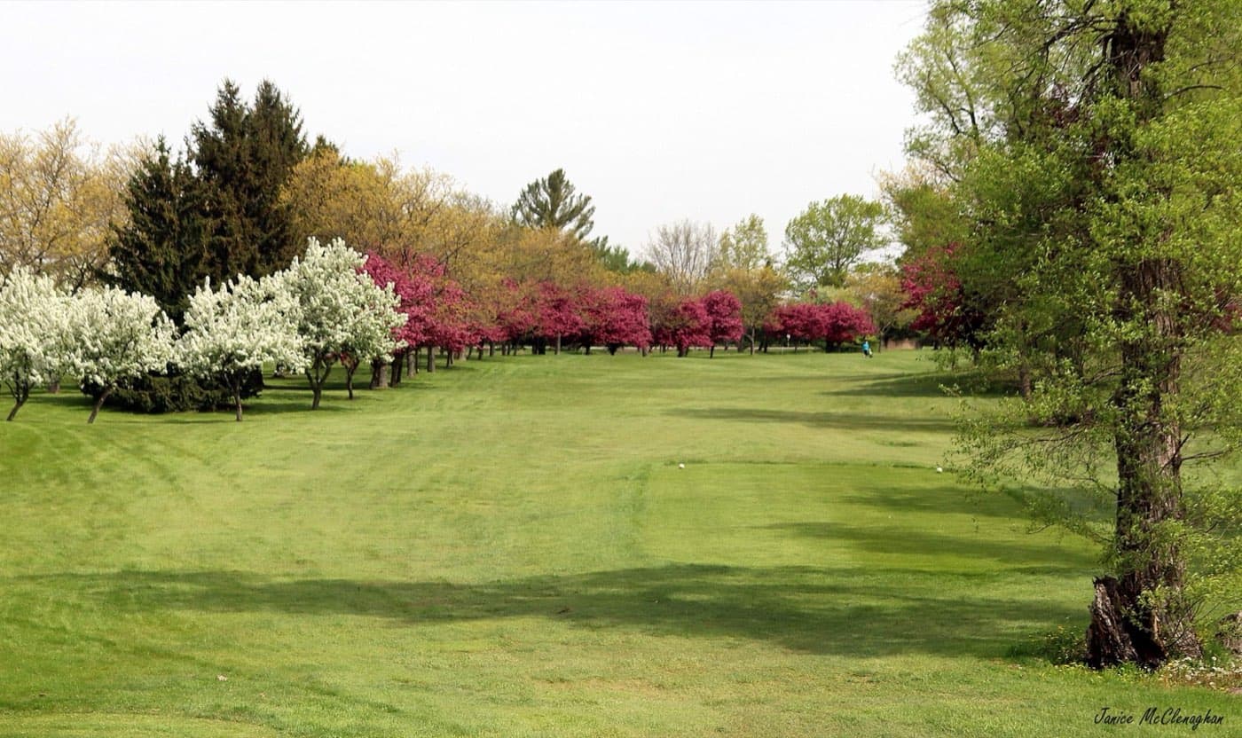 Golf courses in Belmont