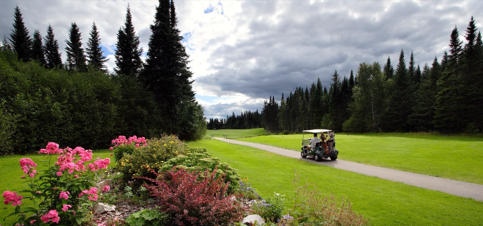 Golf courses in Deer Lake