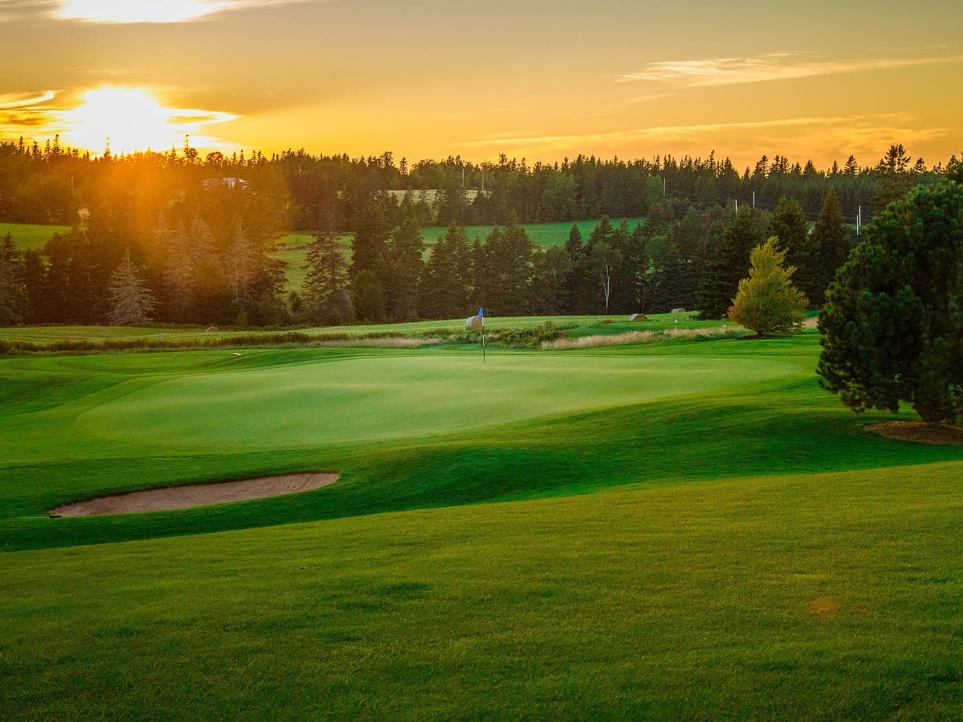 Golf courses in Fairview