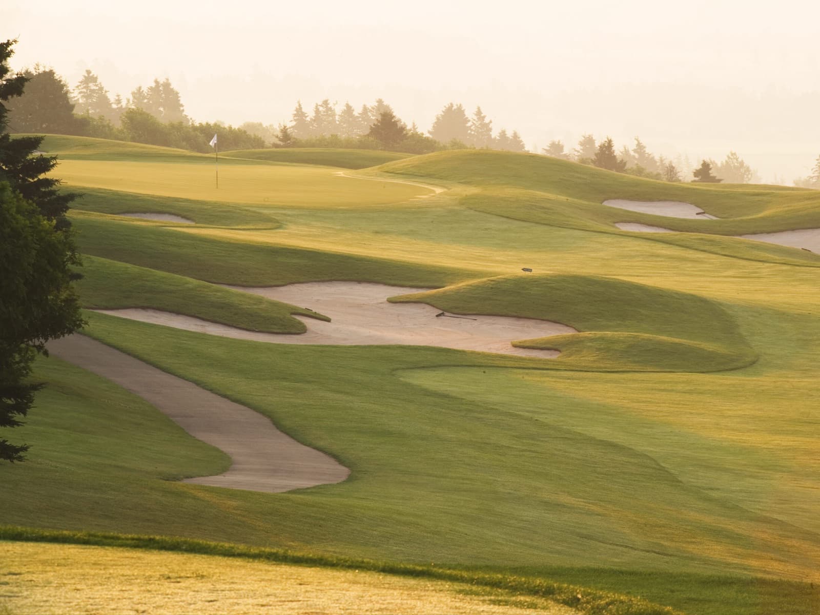Golf courses in Hunter River
