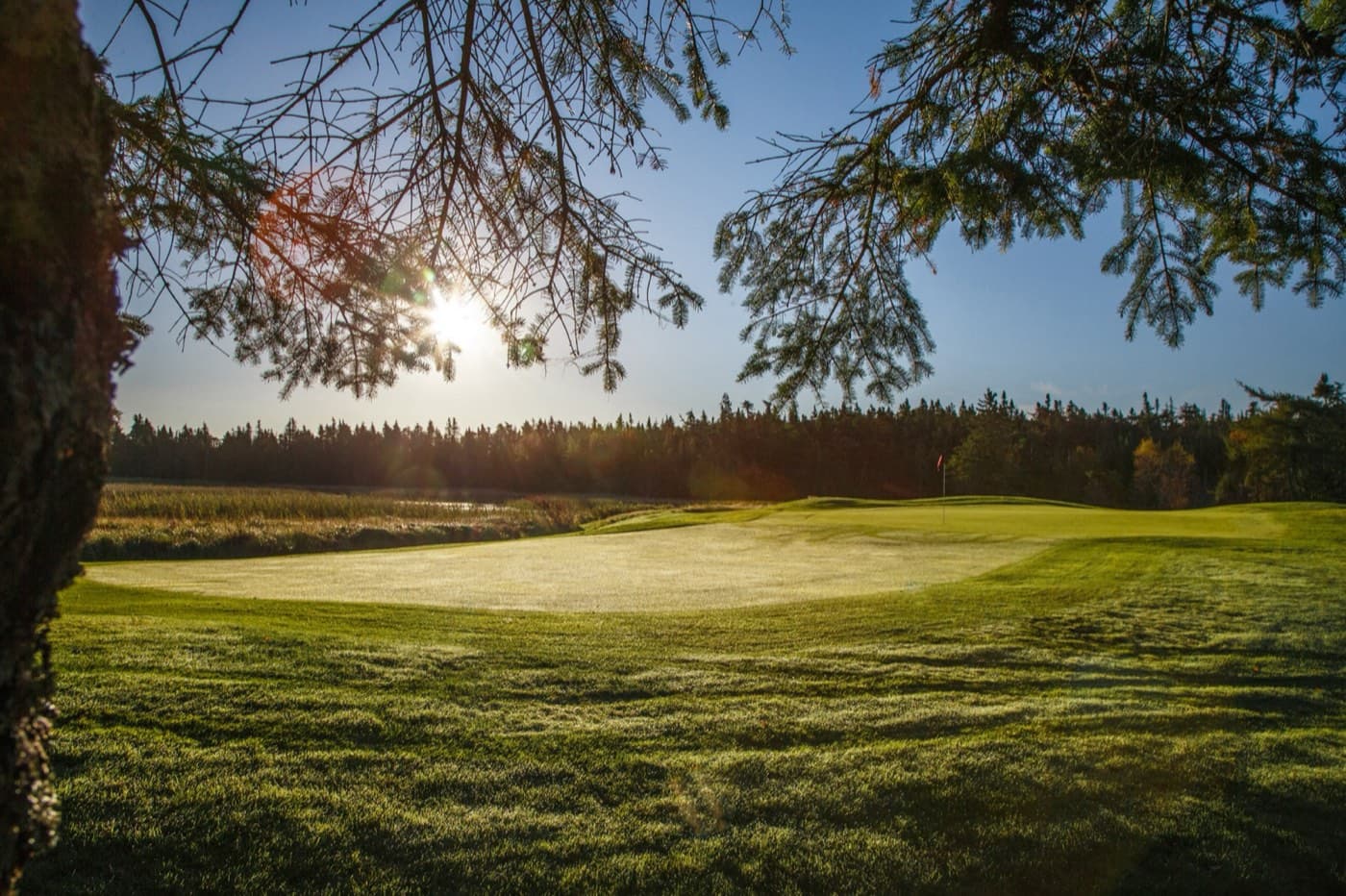 Golf courses in St. John's