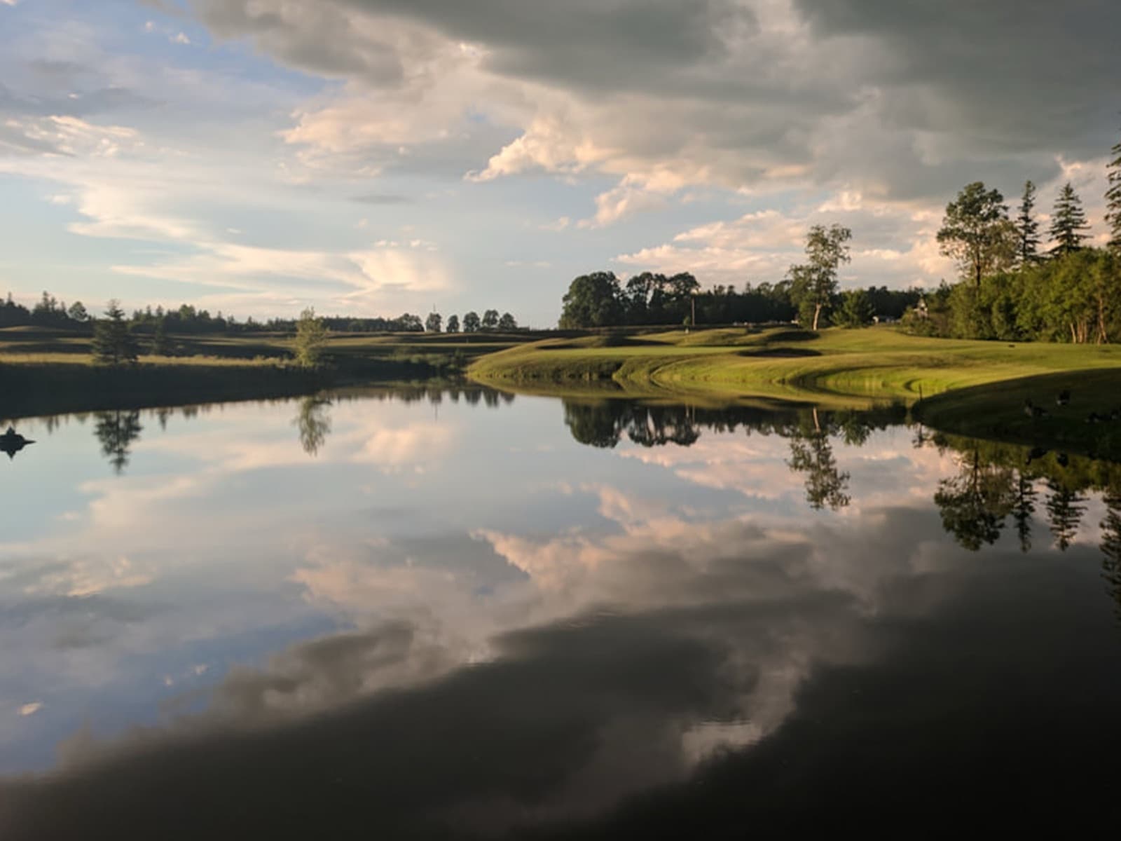 Golf courses in Vernon River