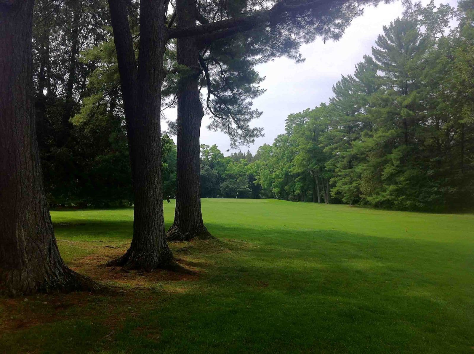 Sturgeon Point Golf Club golf course