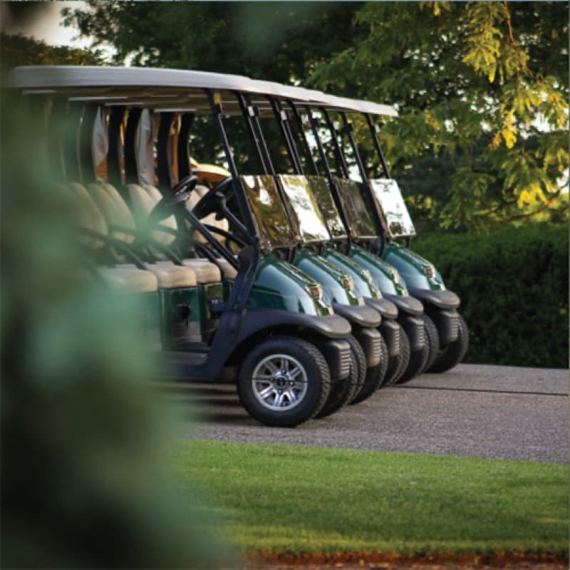 Newlands Executive Course golf course