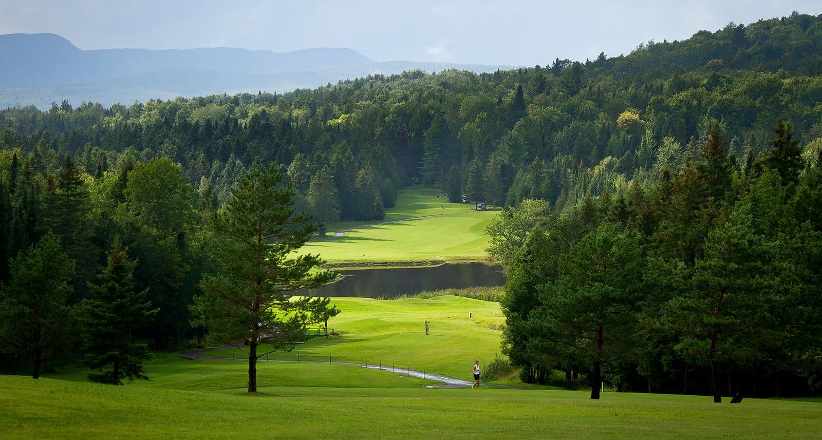 Club de golf Owl's Head
