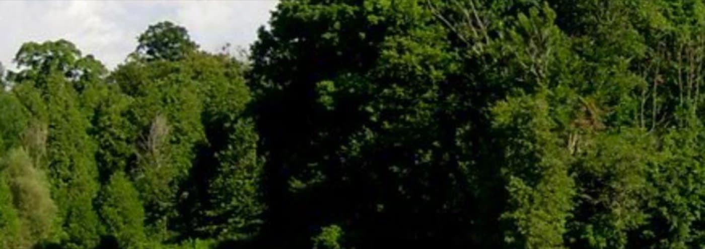 Winchester Golf Club golf course